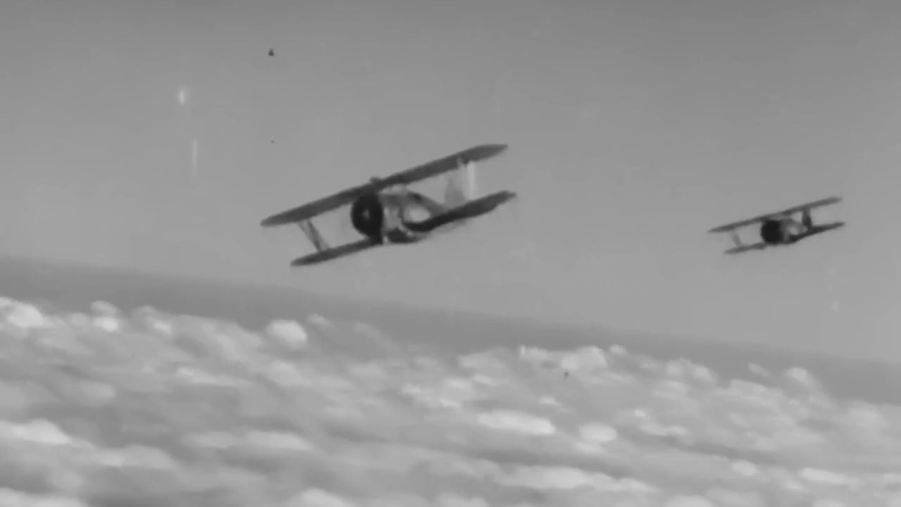 狗斗:枪械与枪法|美国海军军教片1942